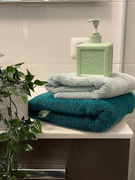 Appartement Familial 8 Personnes Proche De Disney Et Paris شيسي المظهر الخارجي الصورة